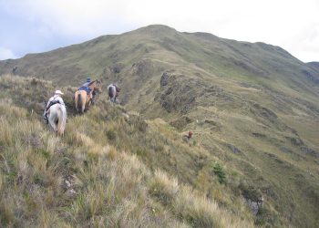 Lucky Minerals organiza el financiamiento para el primer programa de perforación en Fortuna, las acciones suben
