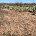 Hudbay sufre importante revés en proyecto de cobre Rosemont en Arizona