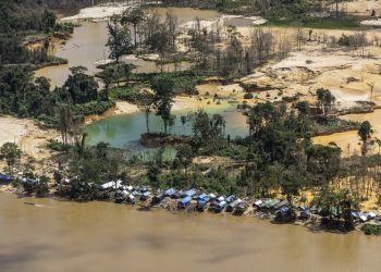 #MINERÍA: Los impactos de la minería ilegal de oro se medirán con la creación de una calculadora