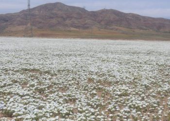 Chile: Gobierno llama a participar en consultas ciudadanas sobre Cambio Climático