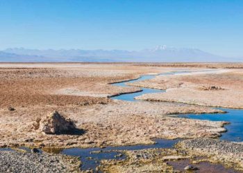 Chile: CDE y Albemarle solicitan presentar propuesta de conciliación en demanda por daño ambiental