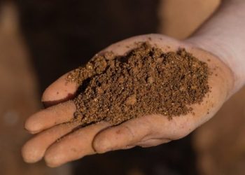 Chile: Empresa Aclara: “Las tierras raras hacen posibles las energías renovables y la electromovilidad”