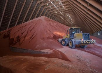 Brasil: Continúa proyecto amazónico por Minera canadiense Brazil Potash