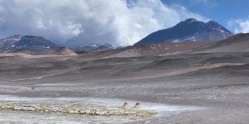 Chile: CleanTech Lithium PLC asegura que ha recibido garantías de que sus activos no seguirán participación mayoritaria del Estado