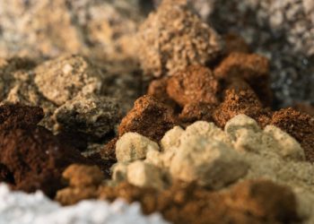 Chile: Estudio de factibilidad para el proyecto Módulo Penco de Aclara por empresa Pares&Alvarez