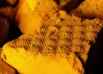 Argentina: Antiguo proyecto de uranio, vanadio y cobre Huemul, será adquirido por Consolidated Uranium