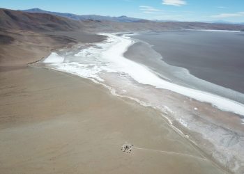 Argentina: La empresa Galan Lithium analiza expandir operaciones