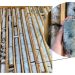 Brasil: Estrategia de exploración de amplio alcance para recursos de litio por Atlas Lithium