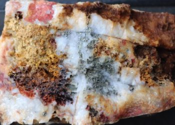 Brasil: Para el II Trim 2024 estarían los resultados del estudio de prefactibilidad del Proyecto Cuiú Cuiú