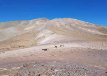 Chile: En el proyecto de cobre Illapel, Vortex Metals adquiere participación del 80%