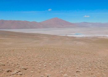 Argentina: En la provincia de Salta, Argentina Lithium ejerce opciones para comprar activos