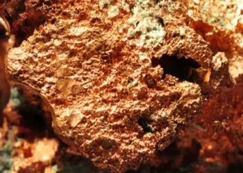 Perú; Western Metallica Resources Revoluciona el Escenario Minero al Descubrir Importantes Yacimientos de Cobre en el Proyecto de Pórfido Caña Brava.