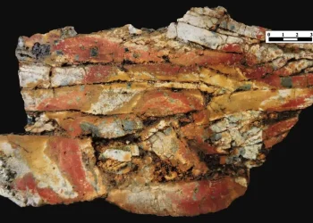 Perú; «Héroes de Buenaventura: Brigadistas Realizan Rescate Heroico en la Mina Cobriza para Salvar a un Trabajador»