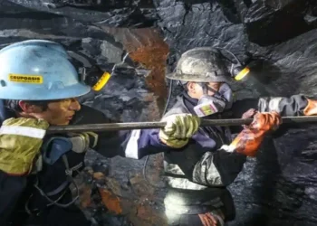 Perú; «Minem Desata una Ofensiva para Formalizar a Pequeños Productores en la Región Puno»