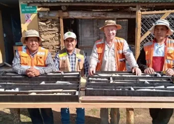 Perú; ¡Hallazgo Épico! Proyecto Aurora Amplía su Tesoro Subterráneo: Cobre, Plata y Molibdeno en Abundancia Confirmados