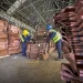 Internacionales; ¡Furor en los Mercados! El Cobre Alza Vuelo Impulsado por un Dólar Debilitado y Fundamentos Robustos