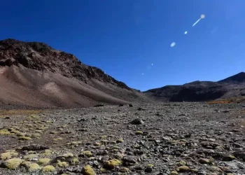 Chile: «Anglo American se convierte en dueño absoluto del Santuario de la Naturaleza Los Nogales»