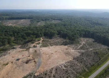 USA: ¡Carolina Rush Desata una Fiebre de Oro en la Mina Sawyer Gold!