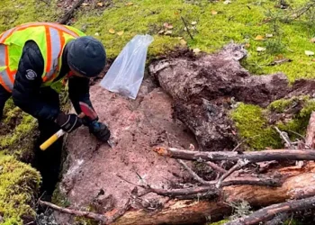 Canadá: ¡»Volta Metals revoluciona la industria con hallazgos innovadores de litio en Falcon West»!