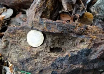 Internacionales: ¡Revolucionario Estudio Magnético Culminado en el Proyecto de Oro EP de Colibri Resource!