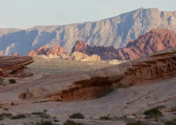 Internacionales: ¡Revolución Energética en Marcha! Grid Battery Metals Revela Informe Técnico de Vanguardia sobre el Proyecto Clayton Valley