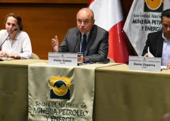Perú: «Reacciones Explosivas de los Congresistas ante la Medida que Detuvo el Avance de la Minería Ilegal»