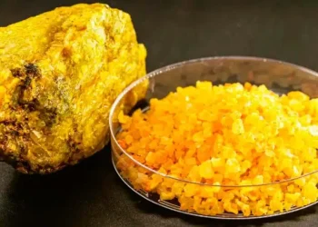 Canadá: ¡»Terra Uranium Acelera su Dominio en Athabasca con las Adquisiciones de Yurkowski Lake y Engler Lake»!