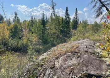 Canadá:¡Descubriendo Tesoros Ocultos en el Corazón de Elora!