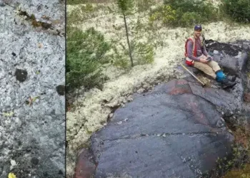 Canadá: Blackbird Critical Metals busca revolucionar la exploración: ¡Solicita permiso de perforación en el épico proyecto Tyee!