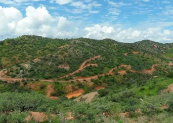 México:¡Explorando las Profundidades de la Riqueza Mineral en Columba Silver!