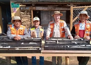 Perú: ¡DLP Resources sorprende con colocación privada de $6 millones!