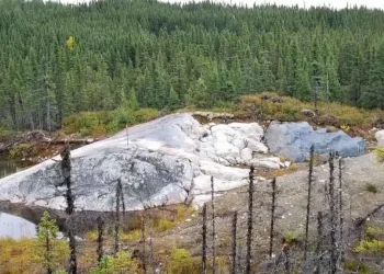 Canadá: El Brillante Movimiento de Sayona Mining: Vendiendo Acciones para Alimentar el Futuro del Litio