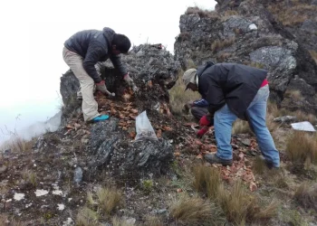 Perú: Palamina Corp. nombra a un visionario líder en exploración y asesoramiento