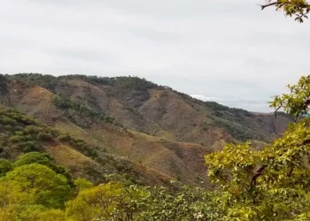 México: «Descubriendo Tesoros Ocultos: El Éxito de Atacama Copper en el Proyecto Cristina»