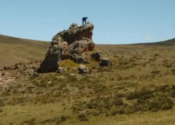 Perú: ¡Chris Buncic asume el Cargo de Presidente y CEO en Condor Resources, Impulsando una Nueva Era de Liderazgo!