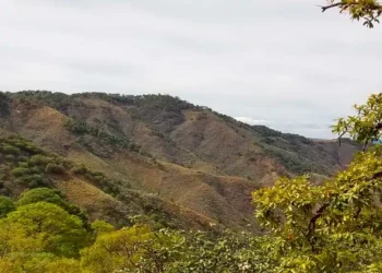 México: Descubriendo Tesoros en el Desierto: Atacama Copper Revela Hallazgos Asombrosos en el Proyecto Cristina