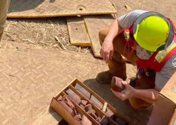 USA: «El Brillante Futuro de Electric Metals: Innovación en la Producción de HPMSM para Vehículos Eléctricos»