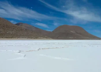 Bolivia: El Despertar del Oro Blanco en Bolivia