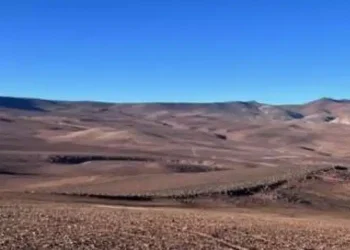 Chile: Descubriendo Tesoros Ocultos: El Éxito de CopperEx en Exploradora Norte