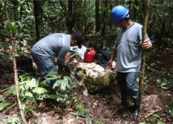 Brasil: «Cabral Gold: Explorando las Profundidades del Oro en Cuiú Cuiú»