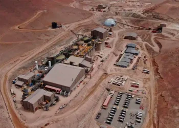 Chile:  La Carrera Contra el Tiempo por la Chinchilla Chinchilla: Gold Fields Bajo la Lupa de la SMA