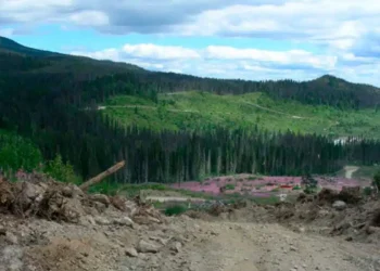 Canadá: Desafiando los Límites: FPX Nickel Triunfa con Prueba Piloto Innovadora en Baptiste