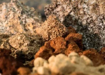 Chile: «Aclara Resources: Forjando un Futuro Sostenible en la Industria de las Tierras Raras»