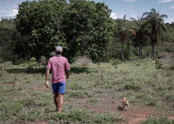 Brasil: La Batalla por el Hierro: Conflicto y Resistencia en el Cerrado Brasileño