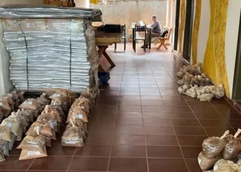 Brasil: Descubriendo el Tesoro de las Tierras Raras: Avances Innovadores en el Proyecto PCH de Appia Rare Earths
