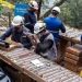 Ecuador: «El Tesoro Oculto de Ecuador: Solaris se Asegura Concesiones Clave para la Búsqueda de Cobre y Oro en Warintza»