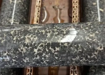 USA: «Descubriendo Tesoros Ocultos en la Zona Raptor: La Prometedora Exploración de Talon Metals»