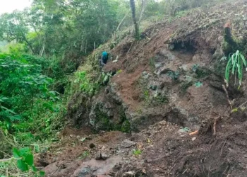 Colombia: «Acuerdo de Oro: Freeport se Aventura en el Tesoro de Cobre y Plata de Colombia»