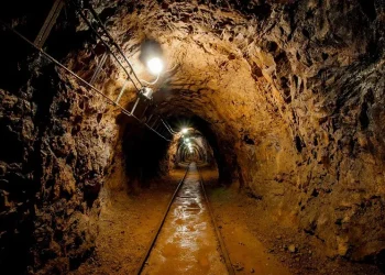 México: La Sombra que Envuelve a Coahuila: Descenso en Diversos Sectores Económicos