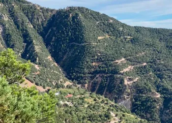 México: «Descubriendo Tesoros Plateados: Avances de Alta Ley en El Tigre de Silver Tiger»